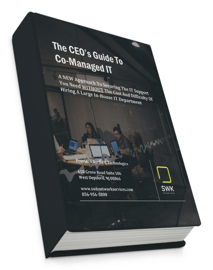 The CEO’s guide to Co-Managed IT.